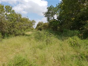 4.9 ha Land available in Muldersdrift