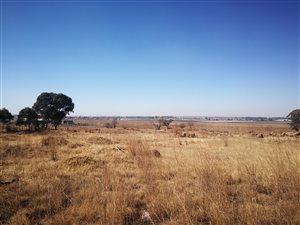 5045 m² Land available in Wadeville