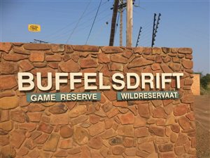 1.5 ha Land available in Buffelsdrift
