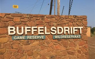 1.5 ha Land available in Buffelsdrift