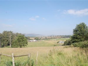 271 ha Farm in Camperdown