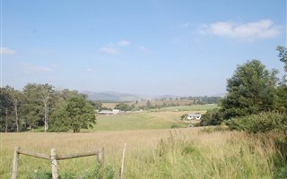 271 ha Farm in Camperdown