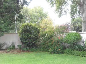 1 Bed Garden Cottage in Sydenham