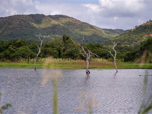 6600 ha Farm in Malelane