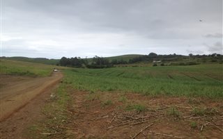17 ha Farm in Port Zimbali