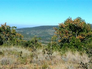 9344 m² Land available in Bela-Bela (Warmbaths)