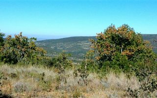 9344 m² Land available in Bela-Bela (Warmbaths)