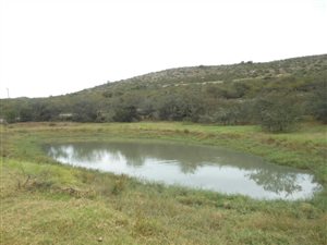 308 ha Farm in Grahamstown