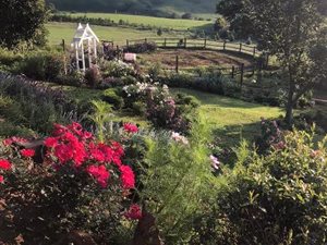 14.5 ha Farm in Balgowan