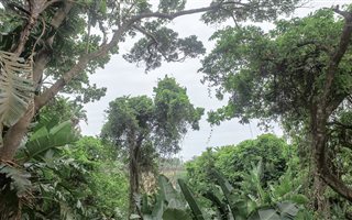 1238 m² Land available in Trafalgar