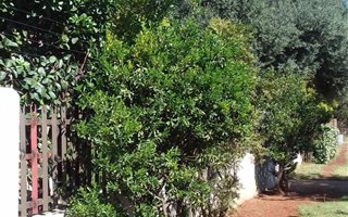 3 Bedroom House in Vanderbijlpark SE4