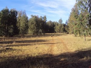 513 ha Farm in Bloemfontein Rural