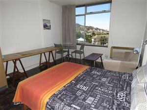 Studio Apartment in Gardens