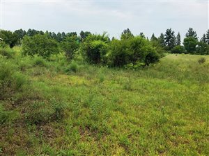 1.7 ha Farm in Vyfhoek
