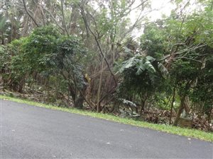 1259 m² Land available in Marina Beach
