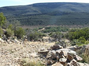 303 ha Farm in Willowmore