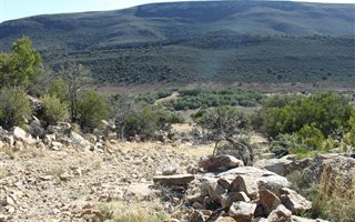 303 ha Farm in Willowmore