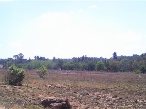 Farm in President Park