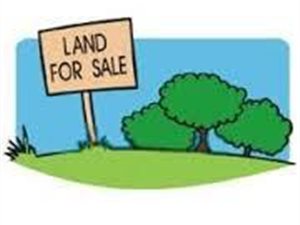 4 ha Land available in Amsterdamhoek