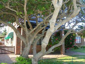 4 Bedroom House in Reebok