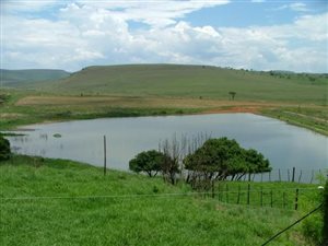 1840 ha Farm in Estcourt