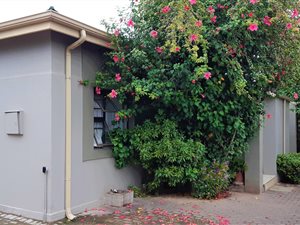 2 Bed Apartment in George South