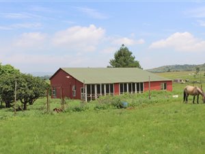 19.3 ha Smallholding in Newcastle Central