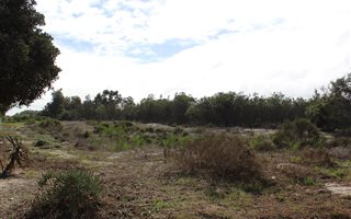4.4 ha Farm in Morningstar
