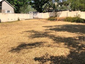 1001 m² Land available in Edenburg