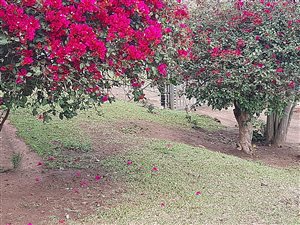10 ha Farm in Cliffdale