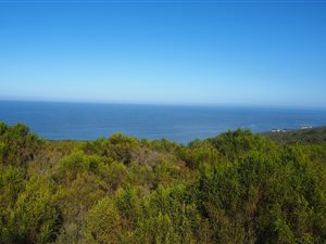 2523 m² Land available in Breakwater Bay Eco Estate