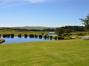 117.7 ha Farm in Dullstroom