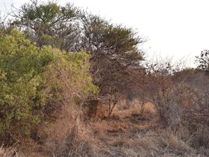 1184 m² Land available in Seasons Lifestyle Estate
