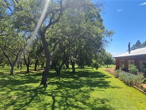 8.5 ha Farm in Broederstroom