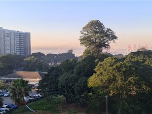 1 Bed Apartment in Durban CBD