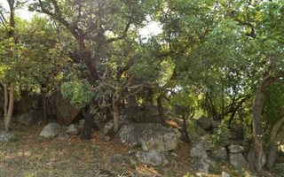 1290 m² Land available in Sonheuwel