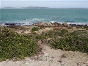 534 m² Land available in Mykonos