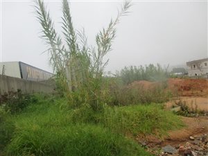 1507 m² Land available in Lombardy West