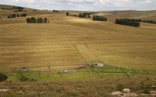 2500 ha Farm in Cathcart