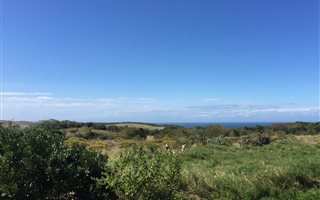 1228 m² Land available in Hawaan Forest Estate