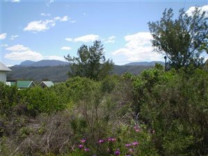 482 m² Land available in Wilderness