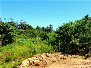2.7 ha Smallholding in Woodgrange