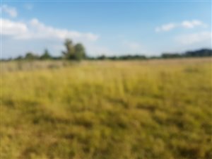 4.4 ha Land available in Bashewa