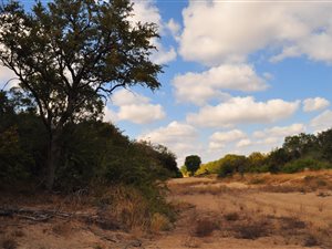1.4 ha Land available in Moditlo Nature Reserve