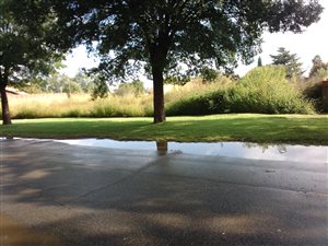 972 m² Land available in Welgedacht