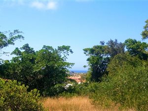 1090 m² Land available in Whale Rock