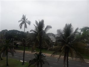 1 Bed Flat in Durban CBD