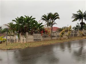 3 Bed House in Bluff