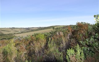1500 m² Land available in Brackenridge