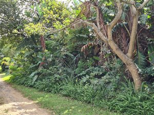 1023 m² Land available in Leisure Bay